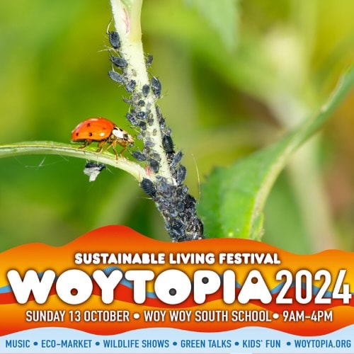 Sustainable Living Festival, Woytopia 2024, Sunday 13 October, Woy Woy South School 9am-4pm. Music, eco-market, wildlife shows, green talks & kids' fun.